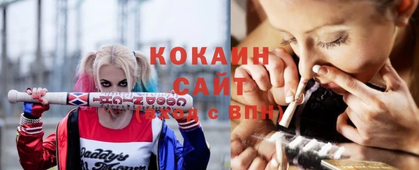 spice Краснослободск